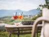hotelbrunnhofer-dorftirol-drinkswithaview.jpg