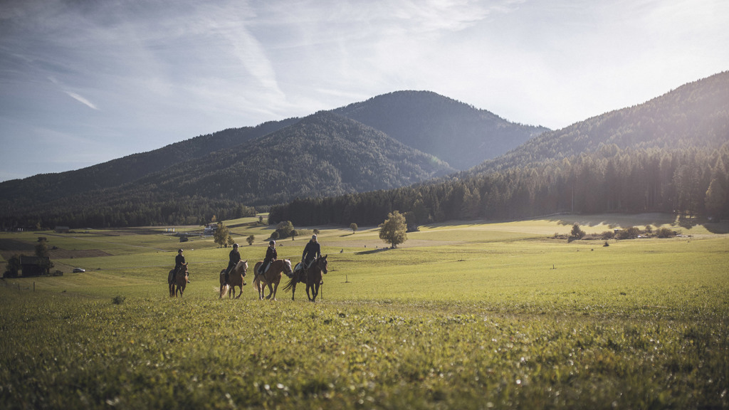 Reiten (c) Kottersteger (3).jpg