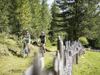 kro00437alfi - biken.jpg