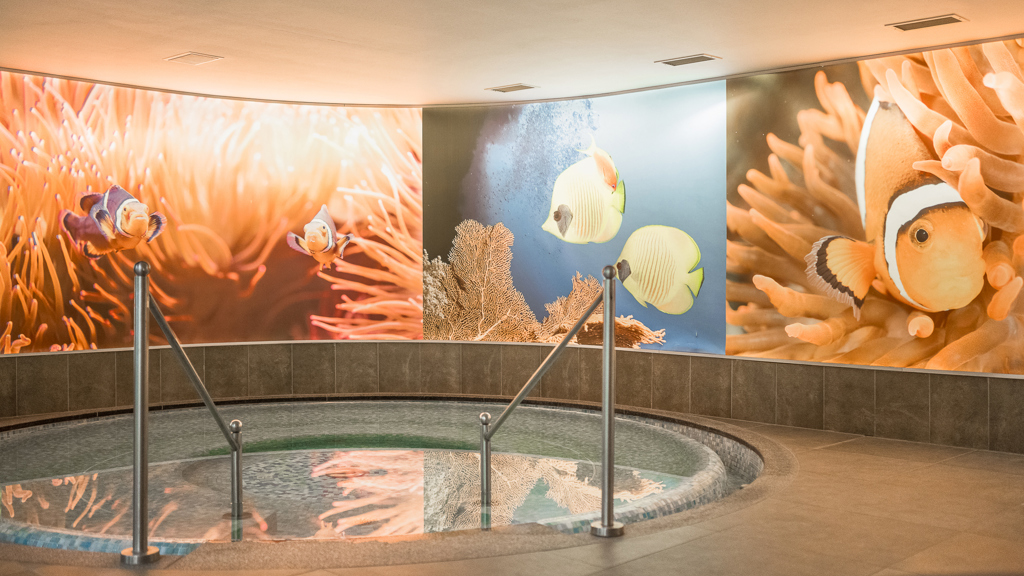 45 Bildergalerie.jpg