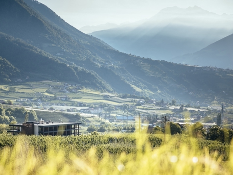 Der Forsterhof - Algund in Meran und Umgebung