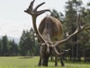 Naturidylle Geyrerhof
