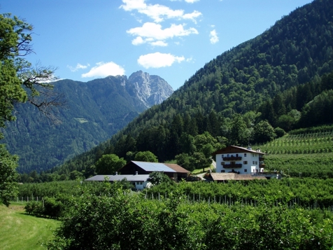 Grumser-Hof - Meran in Meran und Umgebung