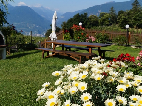 Grumser-Hof - Meran in Meran und Umgebung