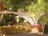 08-Palmengarten-Restaurant-Algund-Gstoer.jpg