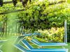 csm_06-Pool-Wellness-Algund-Hotel-Gstoer_cfae191e1f.jpg