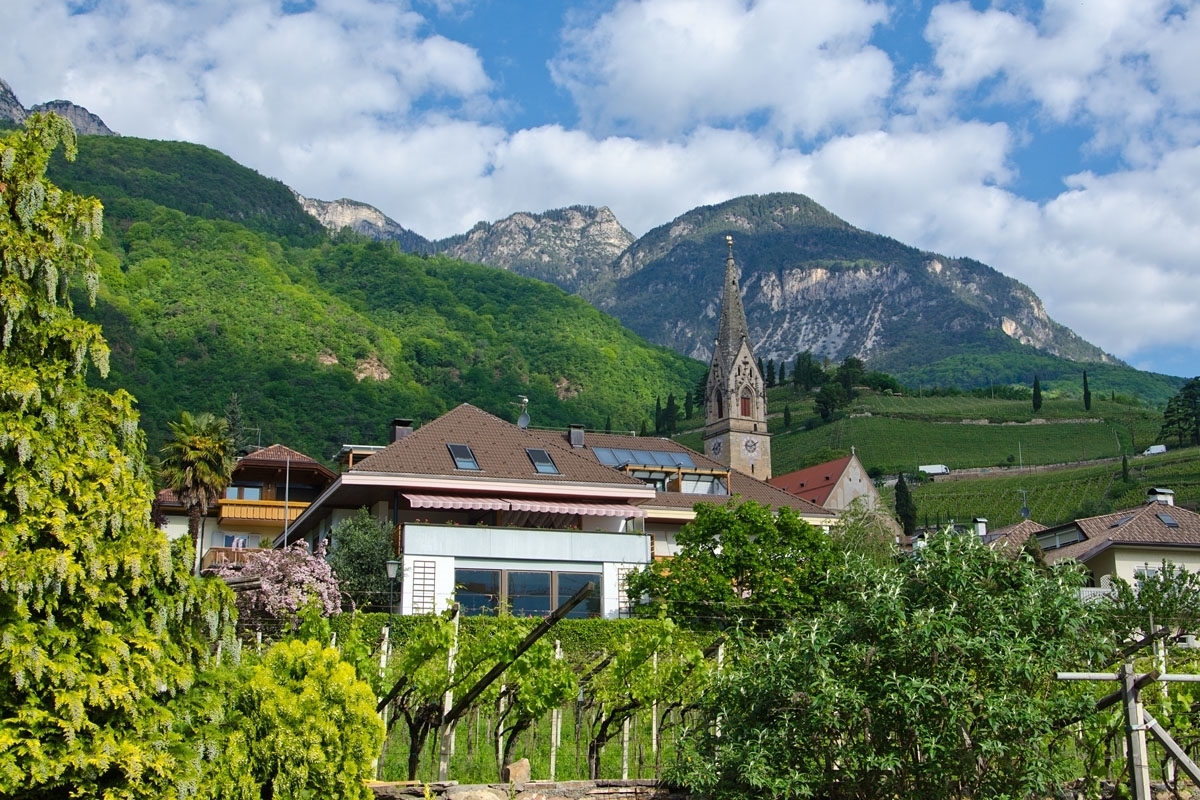 Haus Piger - Tramin an der Weinstraße in Southern South Tyrol