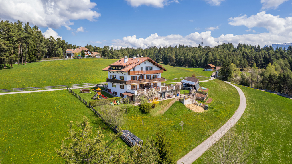 20250428-122943-DJI_0859.jpg