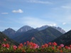 DSCN2031.jpg