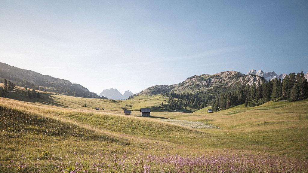 018_TVprags-sommer_©KOTTERSTEGER_210719_KOT_6594.jpg