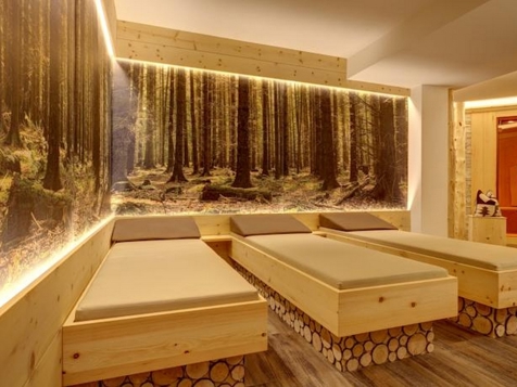 Hotel Garni & App. Schneider - Lutago in Valli di Tures e Aurina
