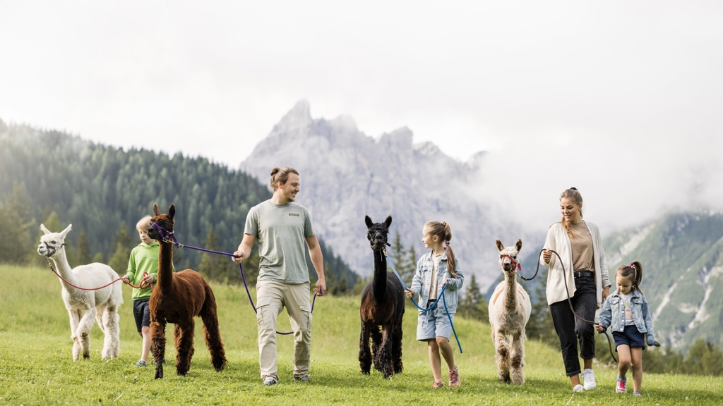 Family with Alpacas.jpg