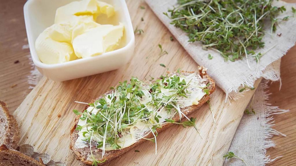 web-rendition-4 (2).jpg