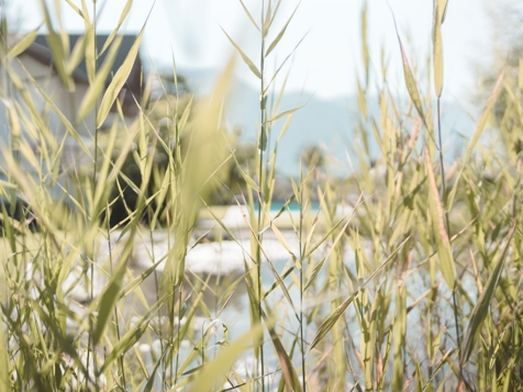Im Tiefenbrunn - Gardensuites & Breakfast - Lana in Meran und Umgebung