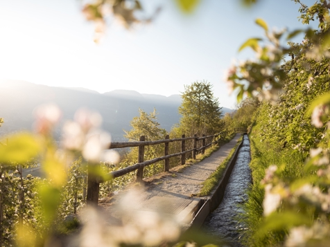 Im Tiefenbrunn - Gardensuites & Breakfast - Lana in Meran und Umgebung