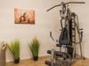fitnessgeraet-1024x683.jpg