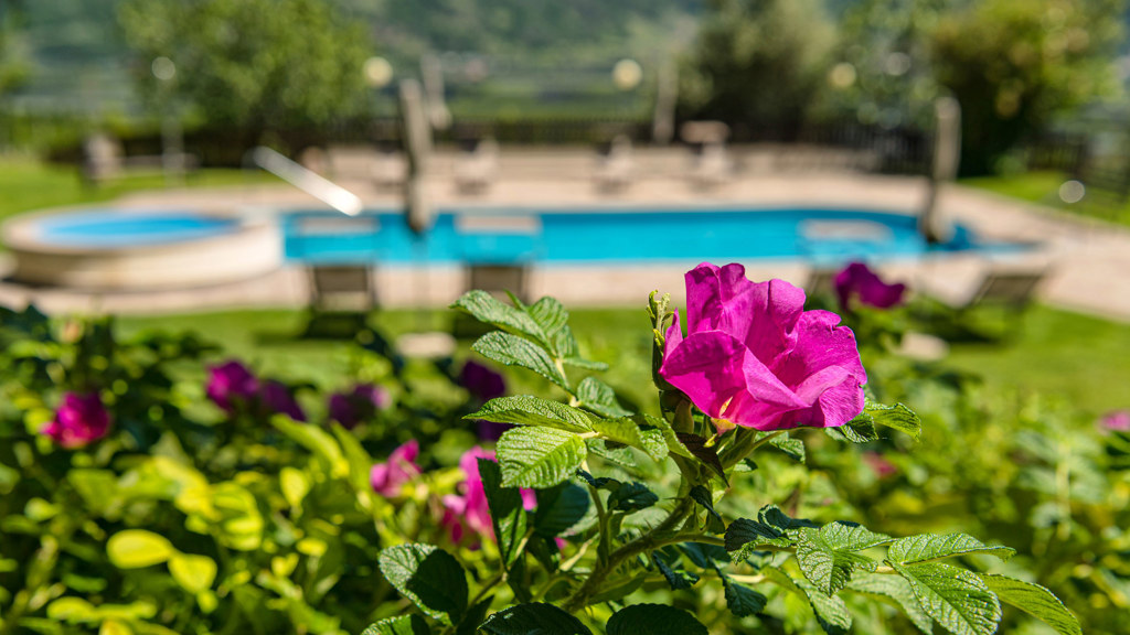gartenhotel-suedtirol-wilma-garden-hotel-garten-bilder-slider-1.jpg