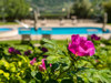 gartenhotel-suedtirol-wilma-garden-hotel-garten-bilder-slider-1.jpg