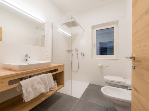 Superior apartment with terrace, 4-6 persons image 16