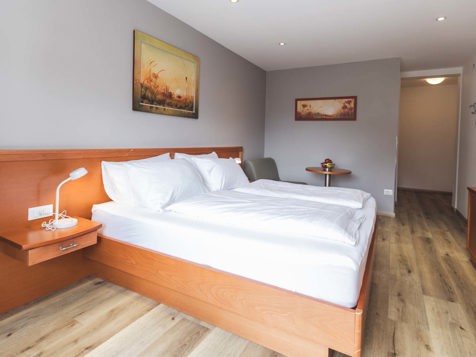 Superior Double Room image 9