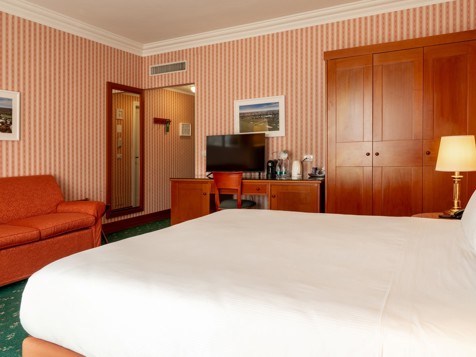 Superior King Double Room-2