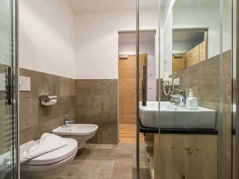 Superior Room Dolomiten image 13
