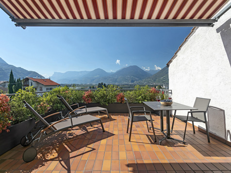 "Traube" image 12