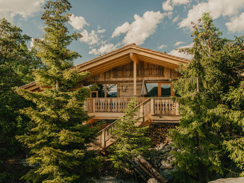 Tree Chalet image 1