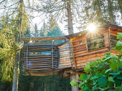 Tree house Vintage image 6