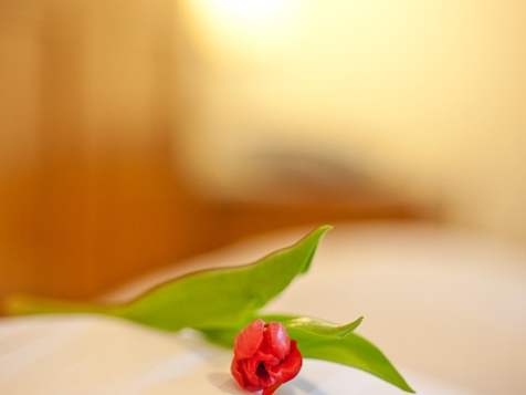 Triple bed room comfort image 2