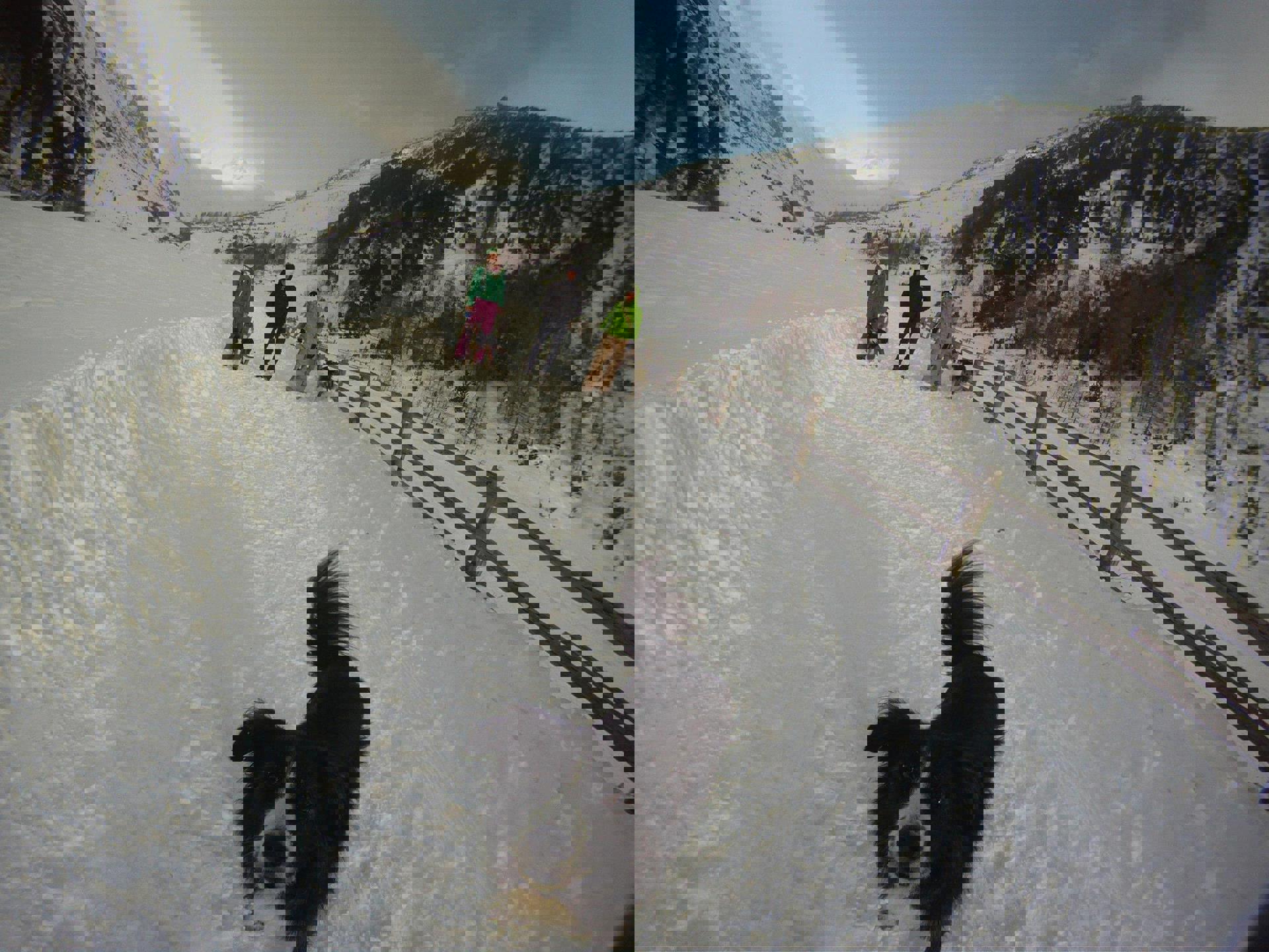 Urlaub mit Hund Urlaub mit Hund