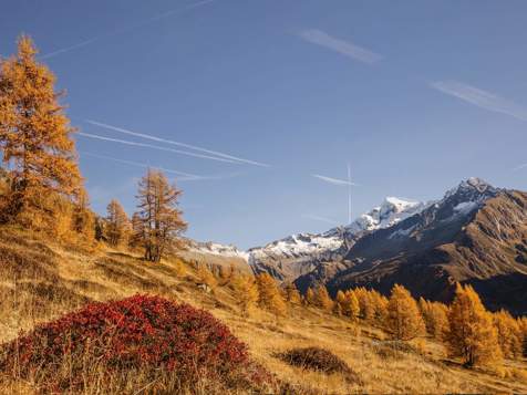 View of Mt. Dreiherrenspitze