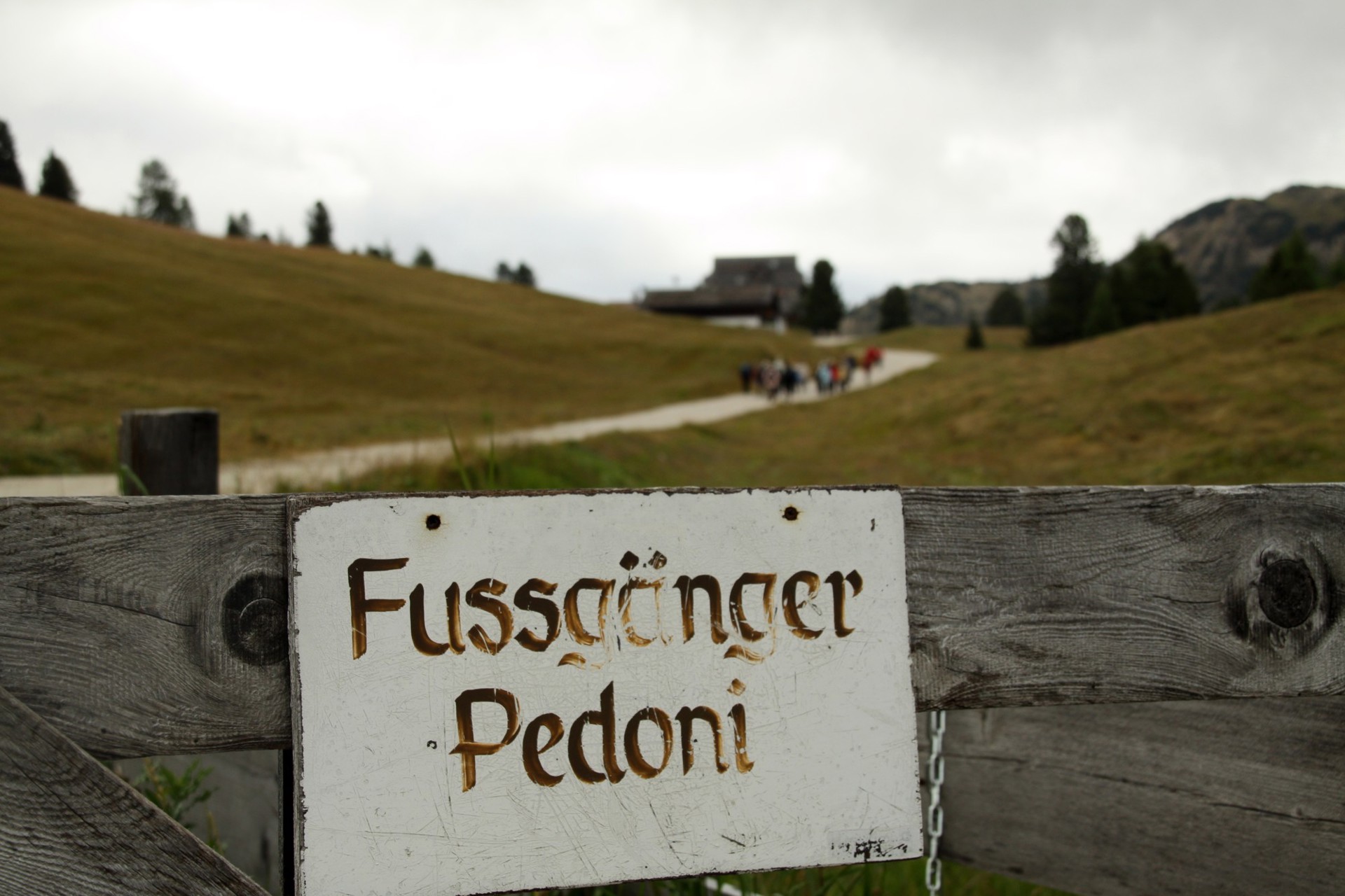 Wandern auf der Plätzwiese Wandern auf der Plätzwiese
