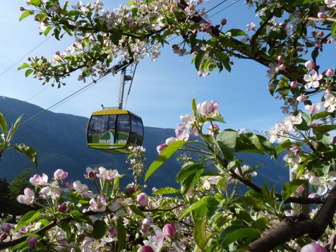 Wellness und Genuss im Frühjahr