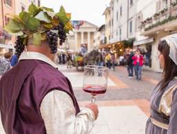 Wine festival in Bardolino