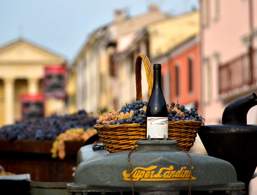 Wine festival in Bardolino