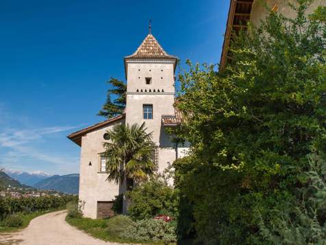 Winery in Eppan on the Wine Route