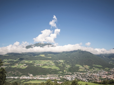 Wohnung Peitler image 6