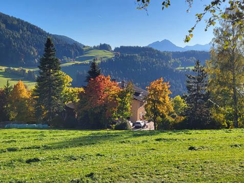 Zirbenzimmer mit Bergblick image 10