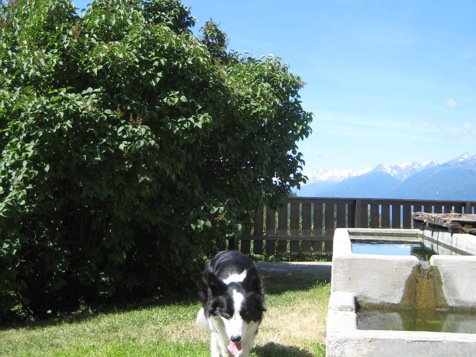 Zirbenzimmer mit Bergblick image 11
