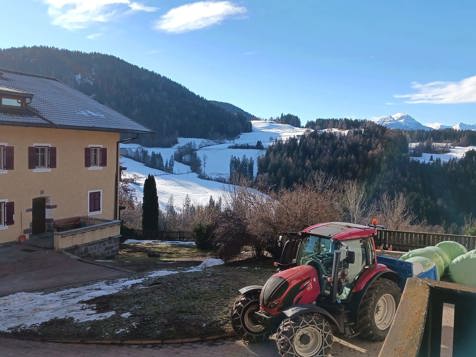 Zirbenzimmer mit Bergblick image 9