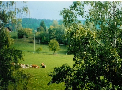 Zirbenzimmer mit Brentablick image 4