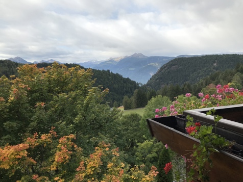 Zirbenzimmer mit herrlichem Panoramablick image 12